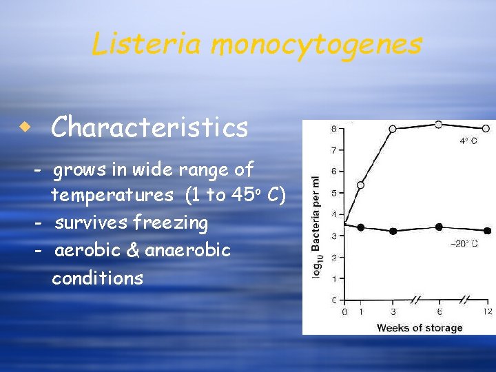 Listeria monocytogenes w Characteristics - grows in wide range of temperatures (1 to 45