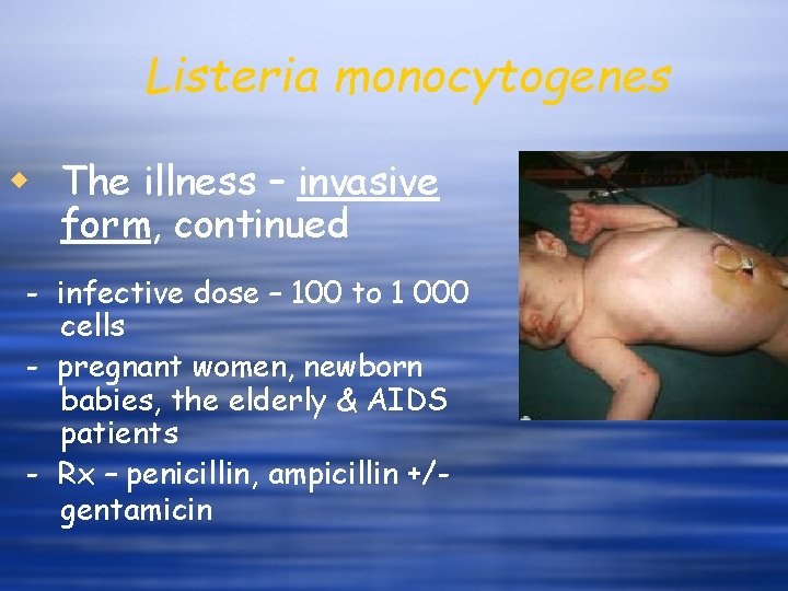 Listeria monocytogenes w The illness – invasive form, continued - infective dose – 100