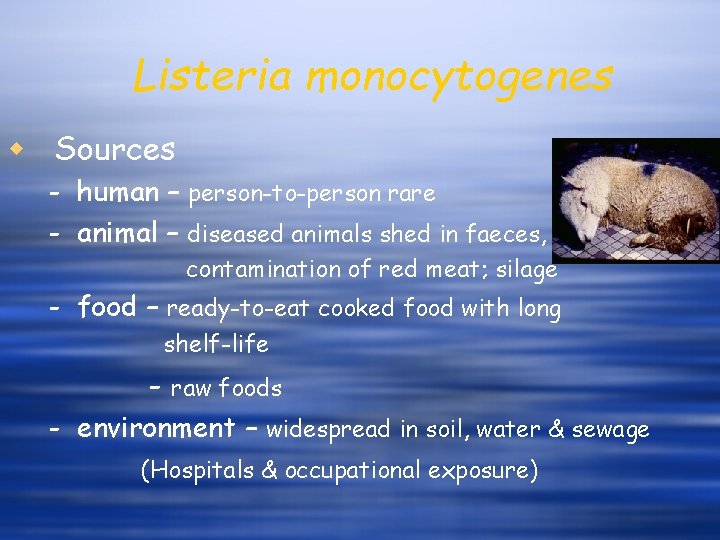 Listeria monocytogenes w Sources - human – person-to-person rare - animal – diseased animals