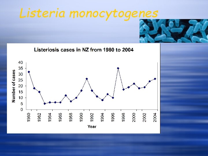 Listeria monocytogenes 