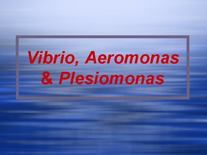 Vibrio, Aeromonas & Plesiomonas 