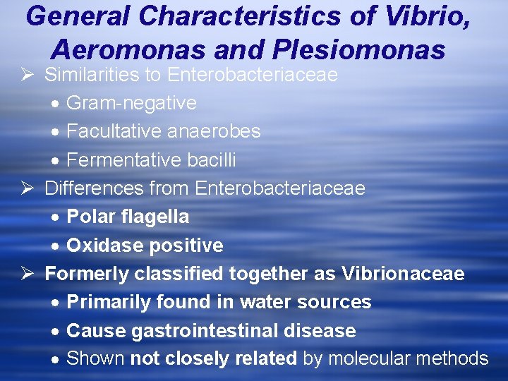 General Characteristics of Vibrio, Aeromonas and Plesiomonas Ø Similarities to Enterobacteriaceae · Gram-negative ·