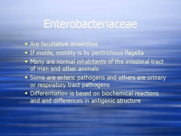 Enterobacteriaceae w Are facultative anaerobes w If motile, motility is by peritrichous flagella w