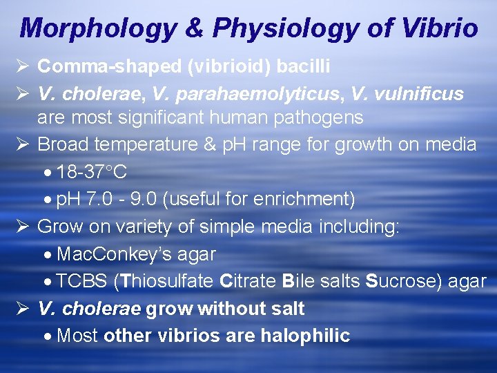 Morphology & Physiology of Vibrio Ø Comma-shaped (vibrioid) bacilli Ø V. cholerae, V. parahaemolyticus,
