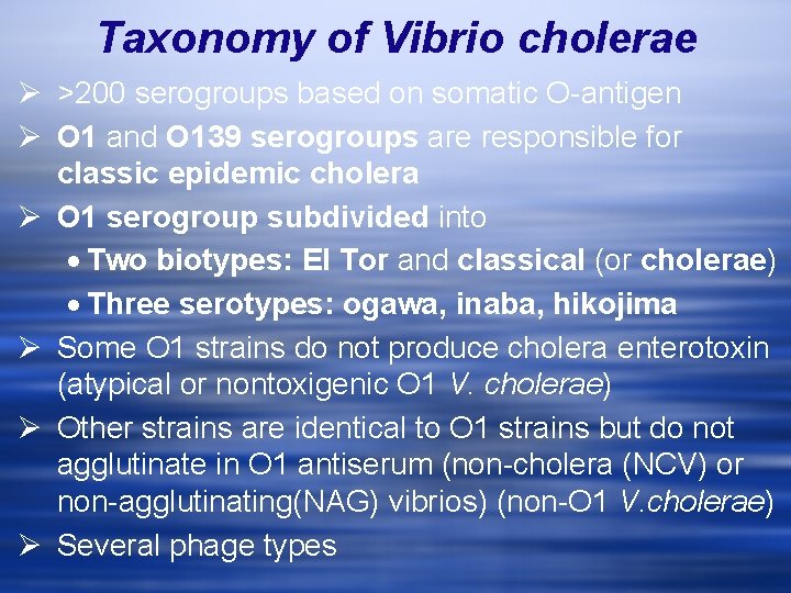 Taxonomy of Vibrio cholerae Ø >200 serogroups based on somatic O-antigen Ø O 1