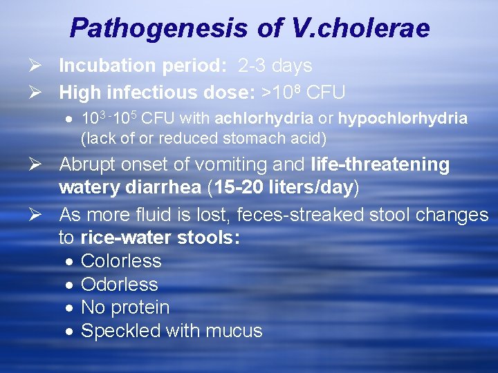 Pathogenesis of V. cholerae Ø Incubation period: 2 -3 days Ø High infectious dose: