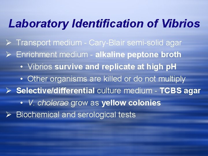 Laboratory Identification of Vibrios Ø Transport medium - Cary-Blair semi-solid agar Ø Enrichment medium