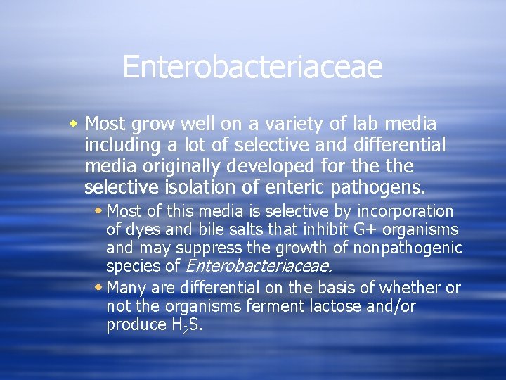 Enterobacteriaceae w Most grow well on a variety of lab media including a lot
