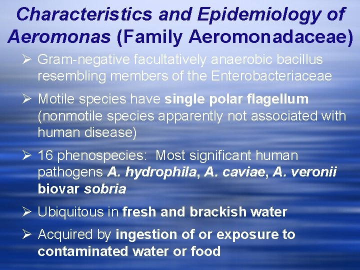 Characteristics and Epidemiology of Aeromonas (Family Aeromonadaceae) Ø Gram-negative facultatively anaerobic bacillus resembling members