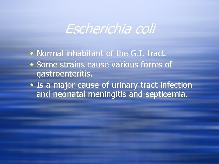 Escherichia coli w Normal inhabitant of the G. I. tract. w Some strains cause