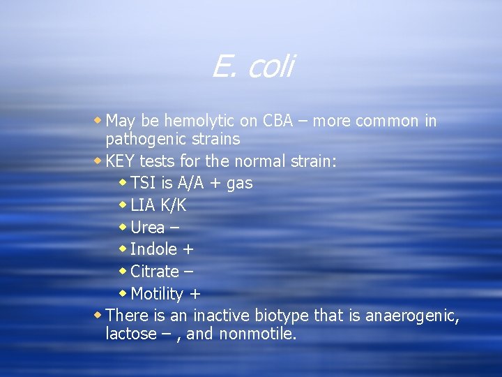 E. coli w May be hemolytic on CBA – more common in pathogenic strains