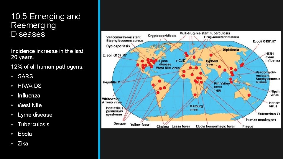 10. 5 Emerging and Reemerging Diseases Incidence increase in the last 20 years. 12%