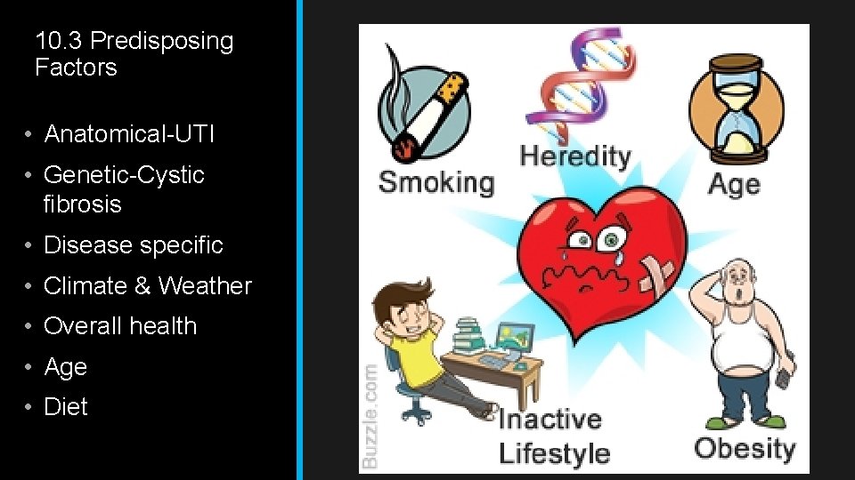 10. 3 Predisposing Factors • Anatomical-UTI • Genetic-Cystic fibrosis • Disease specific • Climate