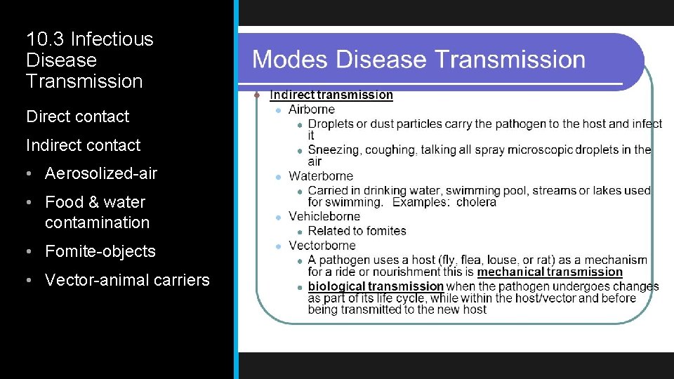 10. 3 Infectious Disease Transmission Direct contact Indirect contact • Aerosolized-air • Food &