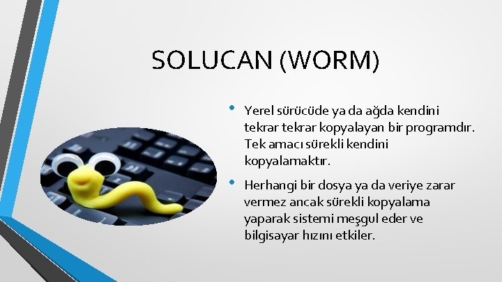 SOLUCAN (WORM) • Yerel sürücüde ya da ağda kendini tekrar kopyalayan bir programdır. Tek