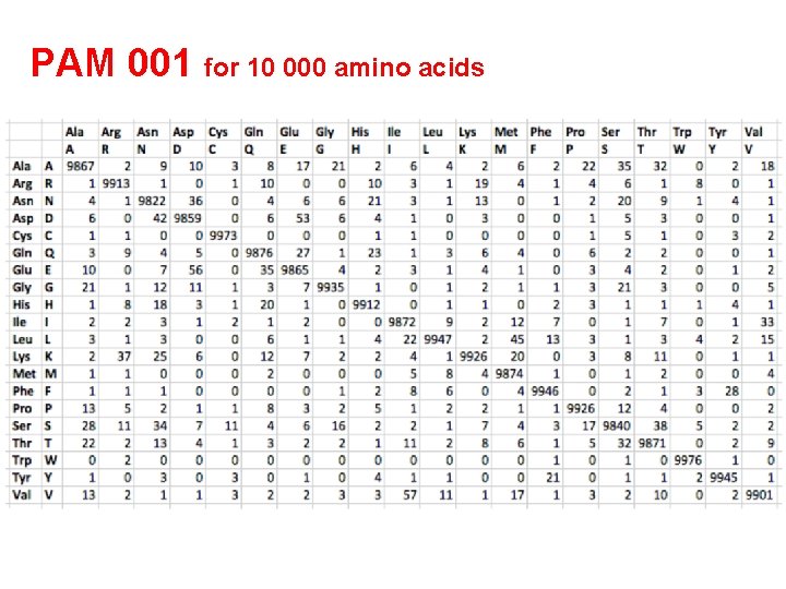 PAM 001 for 10 000 amino acids 
