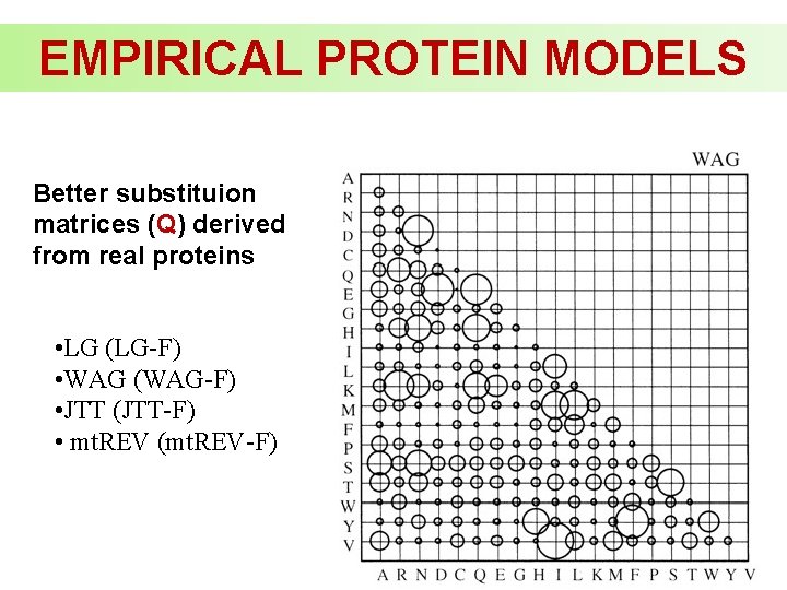 EMPIRICAL PROTEIN MODELS Better substituion matrices (Q) derived from real proteins • LG (LG-F)