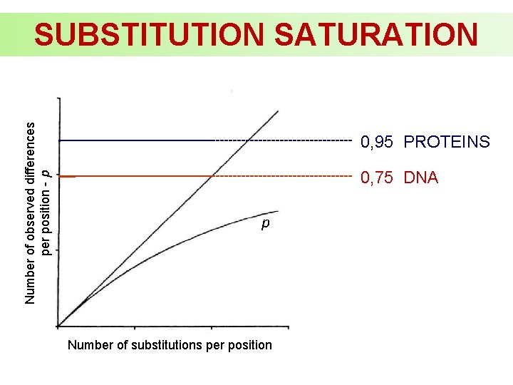 Number of observed differences per position - p SUBSTITUTION SATURATION 0, 95 PROTEINS 0,