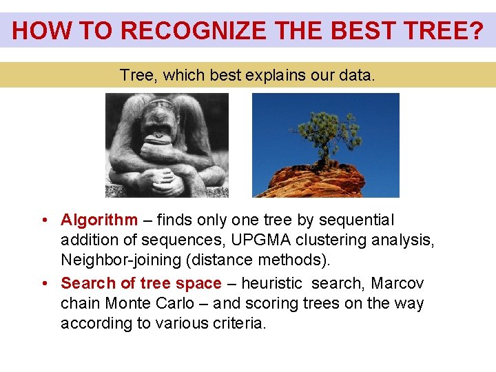 HOW TO RECOGNIZE THE BEST TREE? Tree, which best explains our data. • Algorithm