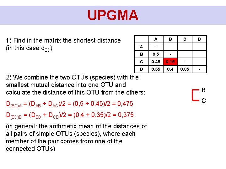 UPGMA 1) Find in the matrix the shortest distance (in this case d. BC)