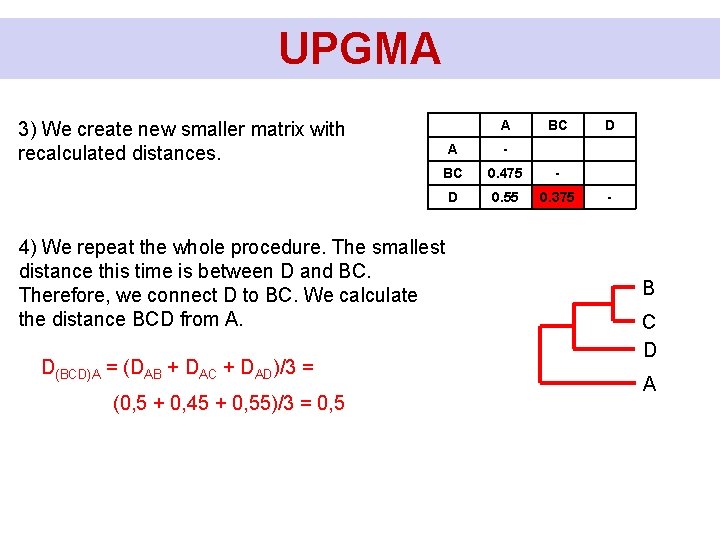 UPGMA A 3) We create new smaller matrix with recalculated distances. A - BC