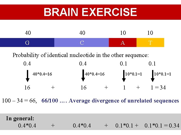 BRAIN EXERCISE 40 40 10 10 G C A T Probability of identical nucleotide