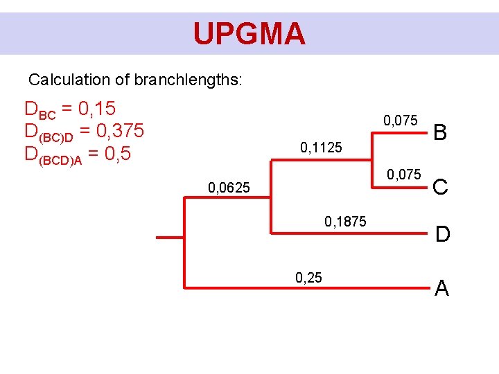 UPGMA Calculation of branchlengths: DBC = 0, 15 D(BC)D = 0, 375 D(BCD)A =