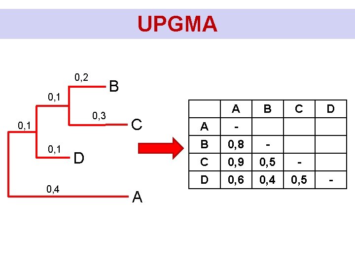 UPGMA 0, 2 B 0, 1 0, 3 0, 1 0, 4 C D