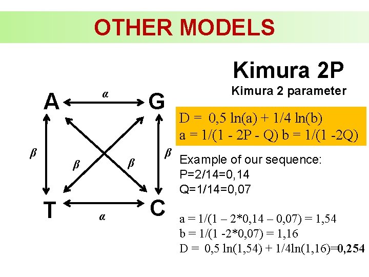 OTHER MODELS Kimura 2 P α A β β β T G α β