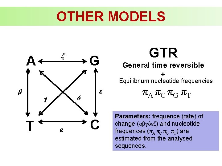 OTHER MODELS ζ A G GTR General time reversible + Equilibrium nucleotide frequencies β