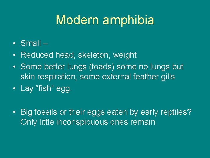 Modern amphibia • Small – • Reduced head, skeleton, weight • Some better lungs
