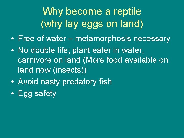 Why become a reptile (why lay eggs on land) • Free of water –