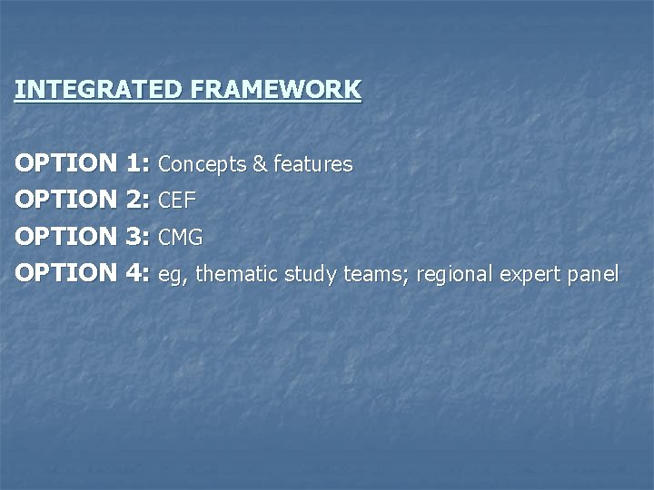 INTEGRATED FRAMEWORK OPTION 1: Concepts & features OPTION 2: CEF OPTION 3: CMG OPTION