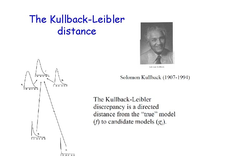 The Kullback-Leibler distance 