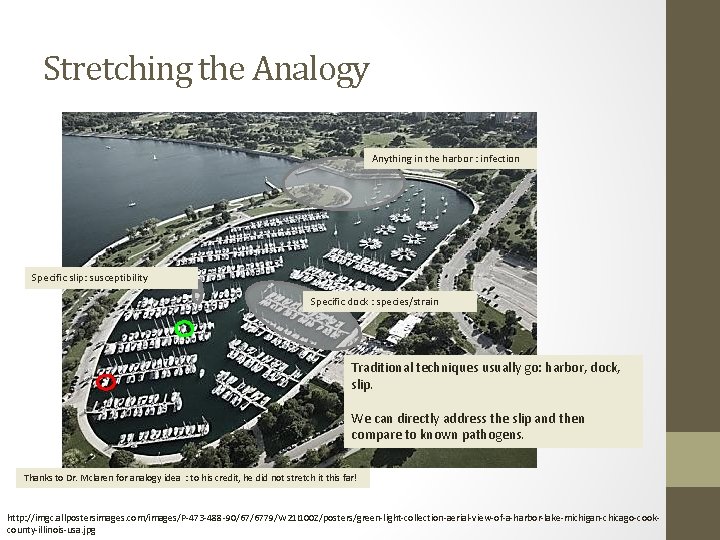 Stretching the Analogy Anything in the harbor : infection Specific slip: susceptibility Specific dock