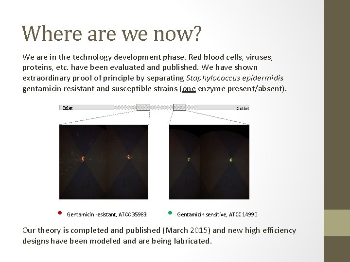 Where are we now? We are in the technology development phase. Red blood cells,