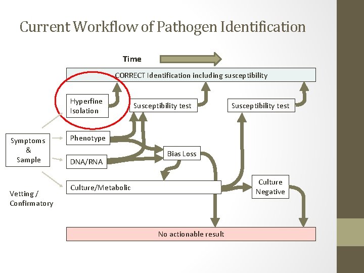 Current Workflow of Pathogen Identification Time CORRECT Identification including susceptibility Hyperfine Isolation Symptoms &