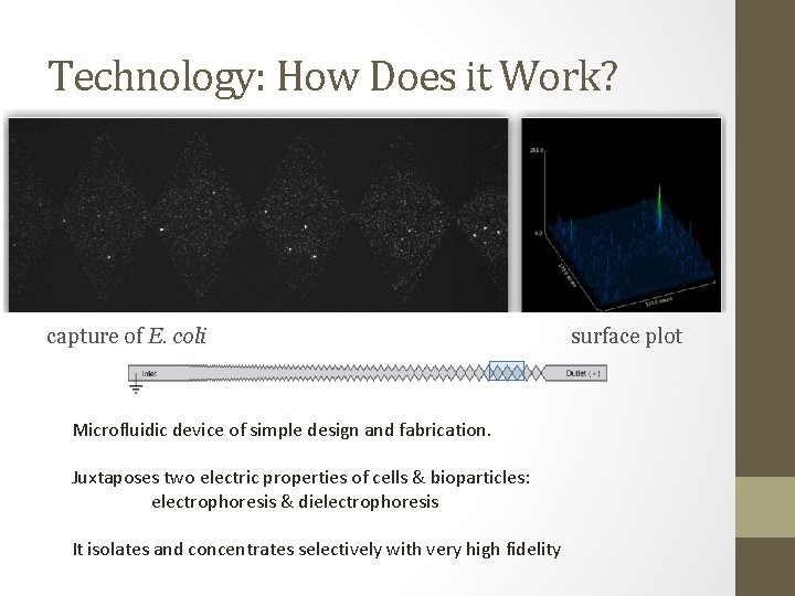 Technology: How Does it Work? capture of E. coli Microfluidic device of simple design