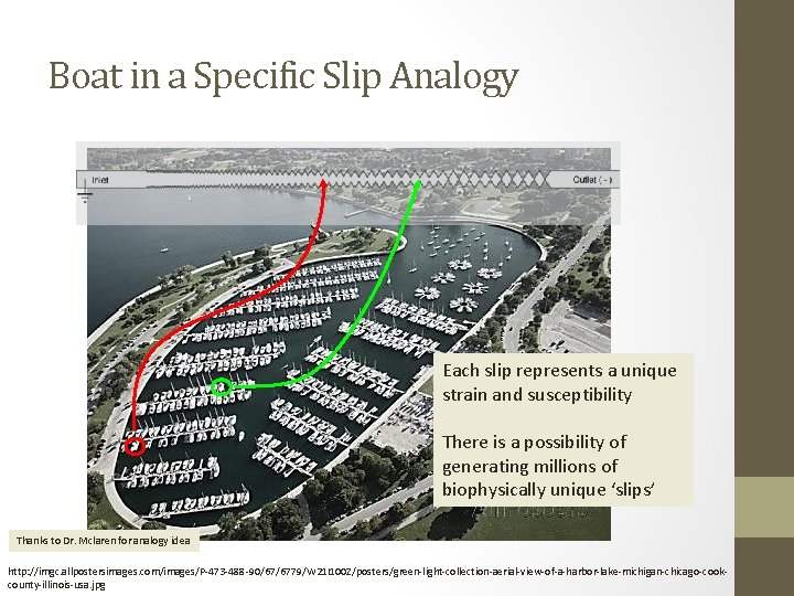 Boat in a Specific Slip Analogy Each slip represents a unique strain and susceptibility
