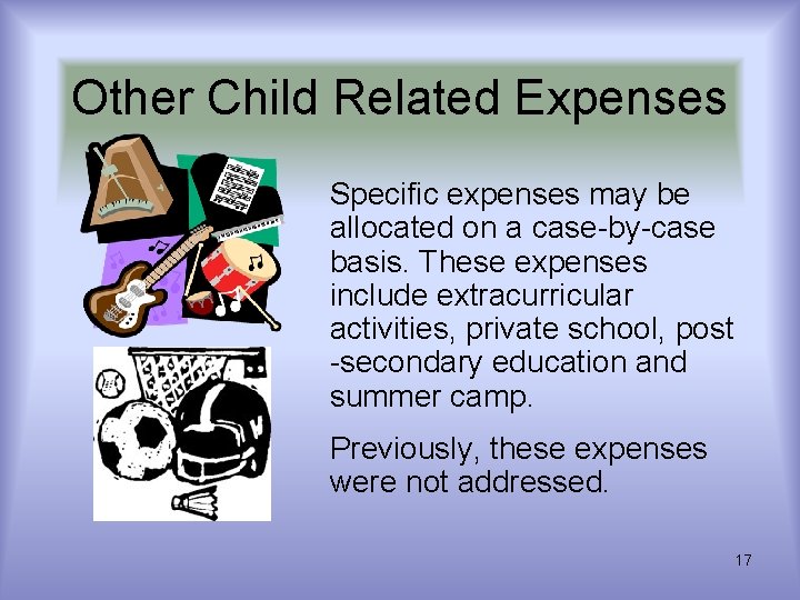 Other Child Related Expenses Specific expenses may be allocated on a case-by-case basis. These