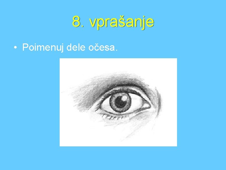 8. vprašanje • Poimenuj dele očesa. 