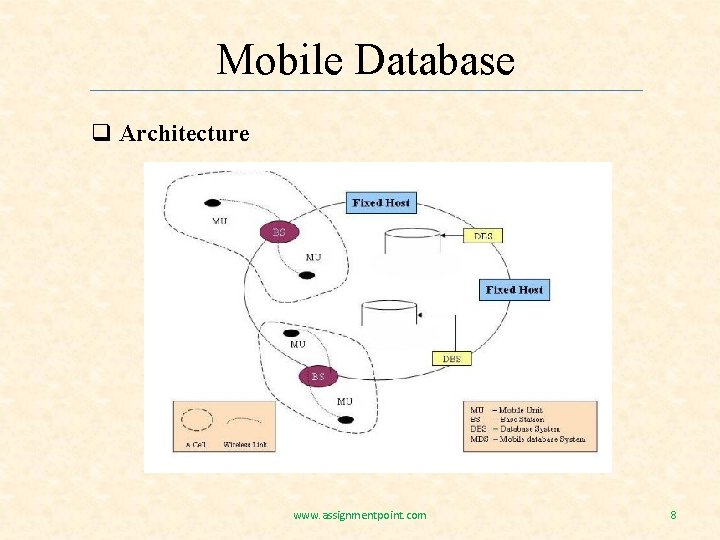 Mobile Database q Architecture www. assignmentpoint. com 8 