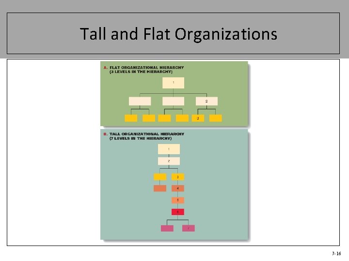 Tall and Flat Organizations 7 -16 