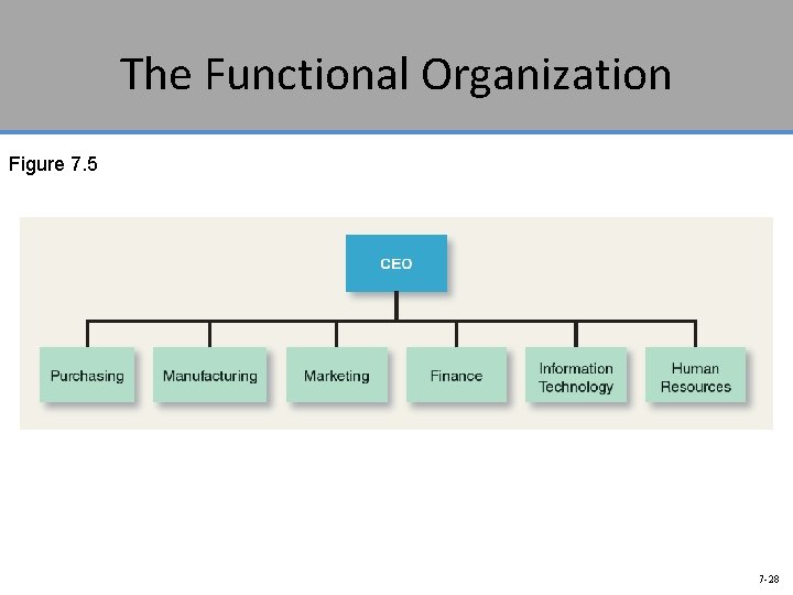 The Functional Organization Figure 7. 5 7 -28 