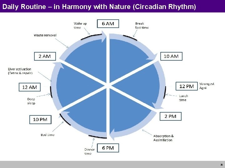 Daily Routine – in Harmony with Nature (Circadian Rhythm) 25 Daily Routine – in Harmony with Nature (Circadian Rhythm) 25