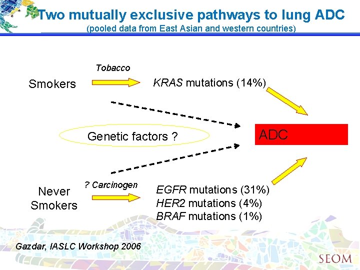 Two mutually exclusive pathways to lung ADC (pooled data from East Asian and western