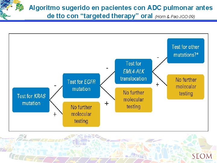 Algoritmo sugerido en pacientes con ADC pulmonar antes de tto con “targeted therapy” oral