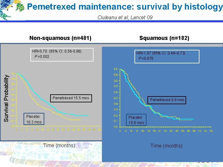Pemetrexed maintenance: survival by histology Ciuleanu et al; Lancet 09 Non-squamous (n=481) Survival Probability