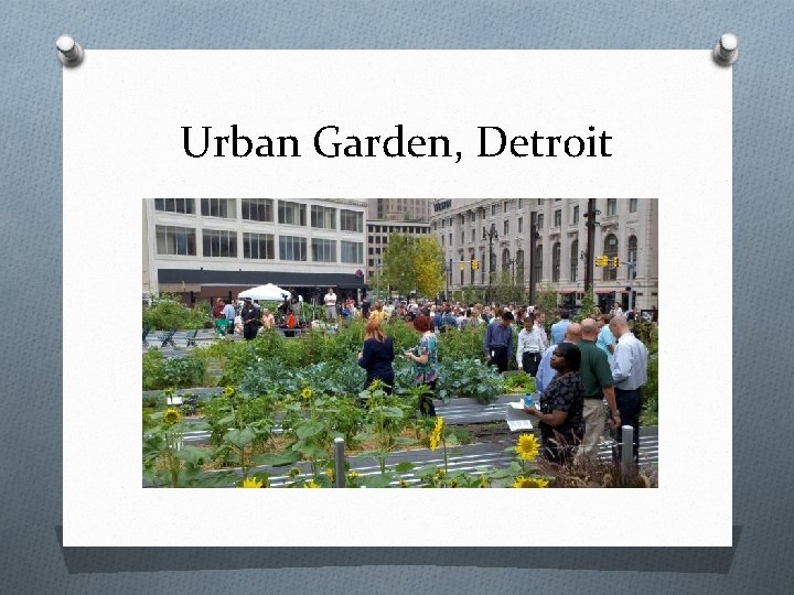 Urban Garden, Detroit 