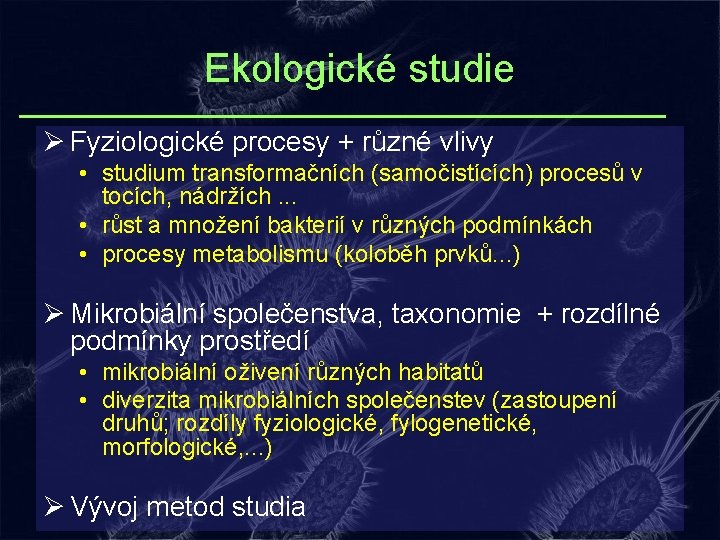 Ekologické studie Ø Fyziologické procesy + různé vlivy • studium transformačních (samočistících) procesů v